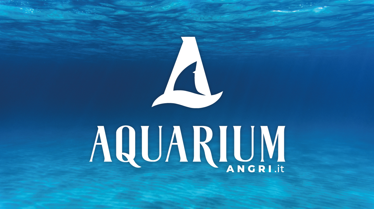 (c) Aquariumangri.it