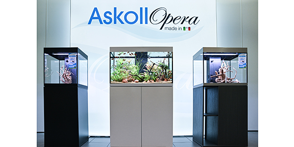 Askoll Opera 80 Bianco - AquariumAngri