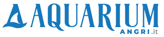 Aquarium Angri